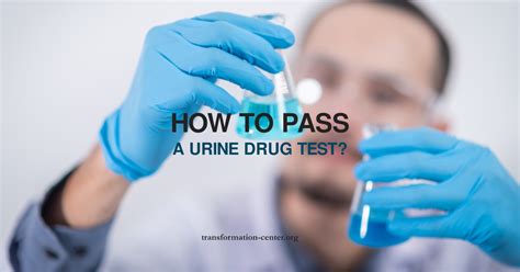 How to Pass a Urine Drug Test (August 2024 Guide)